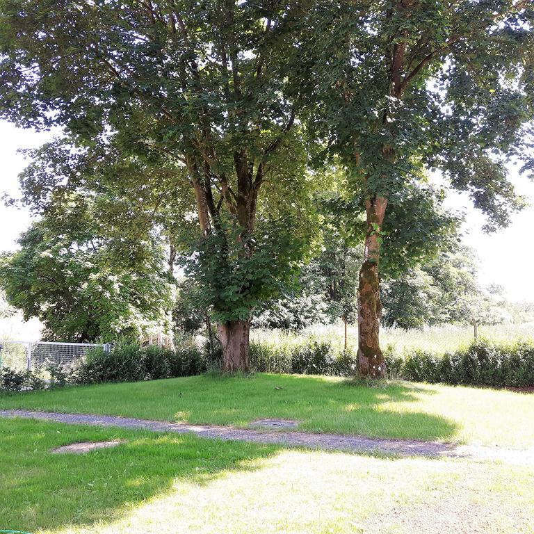 Landferien Eifel Apartman Pittenbach Kültér fotó