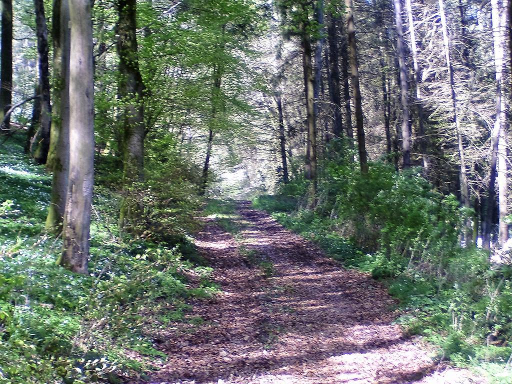 Landferien Eifel Apartman Pittenbach Kültér fotó