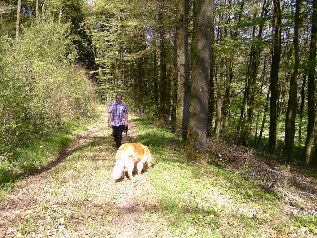 Landferien Eifel Apartman Pittenbach Kültér fotó