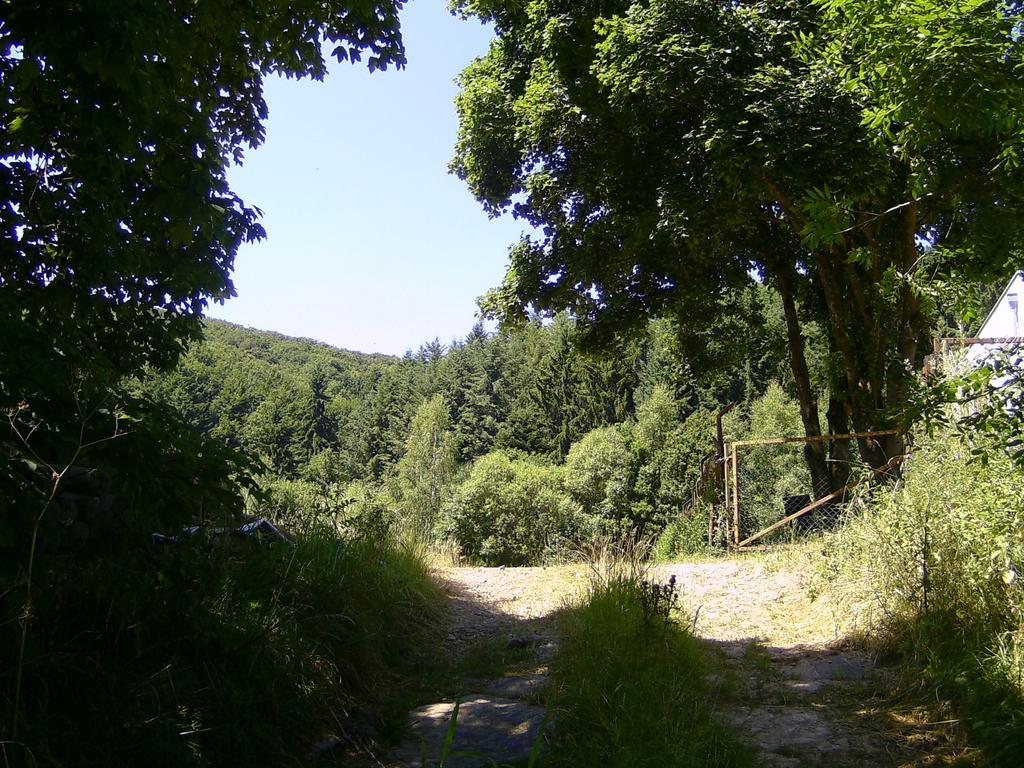Landferien Eifel Apartman Pittenbach Kültér fotó